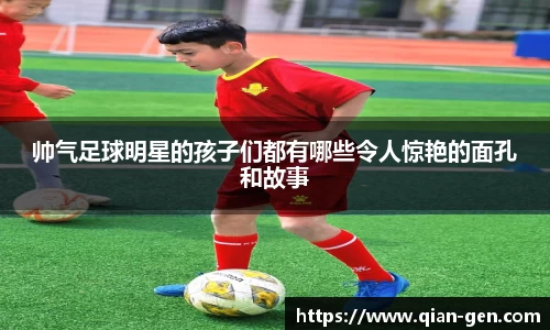 星空.综合体育官网